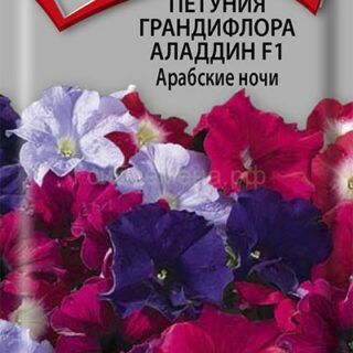 Петуния АЛАДДИН Арабские ночи, грандифлора/П/