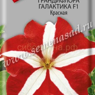 Петуния ГАЛАКТИКА F1 красная  грандифлора/Поиск/