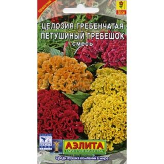 Целозия гребенчатая ПЕТУШИННЫЙ ГРЕБЕШОК /Аэлита/