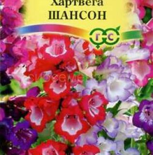 Пенстемон Шансон смесь Мн (Гавр)
