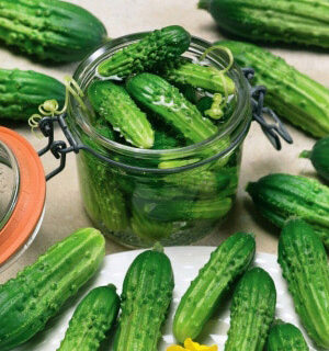 Огурец Ультраскороспелый (УД)