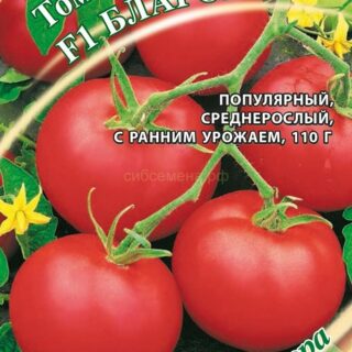 Томат Благовест F1 /Гавриш/