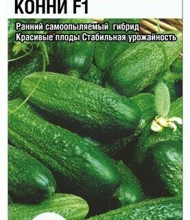Огурец Конни F1 /Сиб сад/