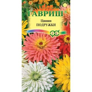 Цинния Подружки низкорослая кактусовидн смесь (Гавриш)