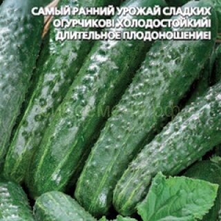 Огурец Весеннее чудо F1 (УД)