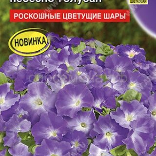 Петуния Мамбо F1 небесно-голубая многоцветковая (Аэлита)