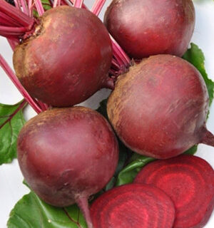 Свекла Бордо односемянная (УД)