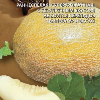 Дыня ДЮНА /УД/10шт.