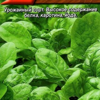 Шпинат КРЕПЫШ /Аэлита/2гр.