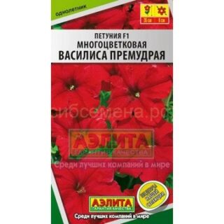 Петуния ВАСИЛИСА ПРЕМУДРАЯ F1 /Аэлита/|