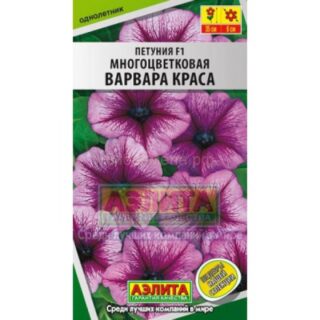 Петуния ВАРВАРА КРАСА F1/Аэлита/