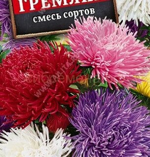 Астра ГРЕМЛИН смесь/Аэлита/