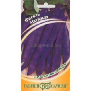 Фасоль МАТИЛЬДА /Гавриш/