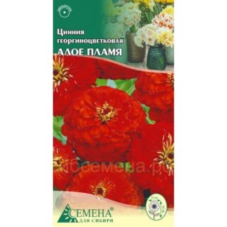 Цинния Алое пламя георгиноцветковая /цв./