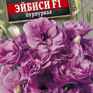 Эустома Эйбиси F1 пурпурная крупноцветковая махровая (Аэлита)