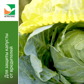 Агрогекс® Сад Шапочка для капусты (5шт/упак)