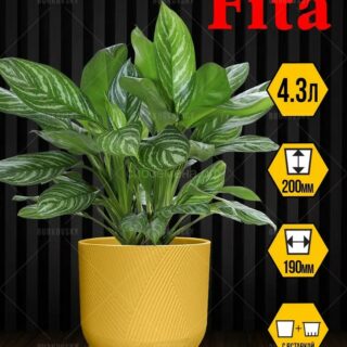 Горшок Фита 4,3л d19 h20 медовый