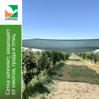 Агротекс ® Сад  Затеняющая сетка 55% затенения 3*50м (рул)