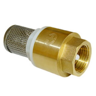 Клапан обратный с сеткой 1/2" лат. CBCVF012 "CTM"