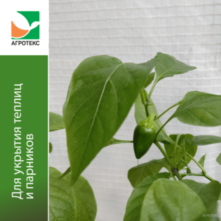 Агротекс СадТройная защита. Водонепроницаемый армированный с защитой от конденсата 80 3,0х100м