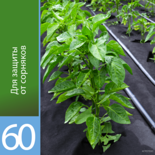 Агротекс Перфорированная МУЛЬЧА 60 "UV" 1,6х10м